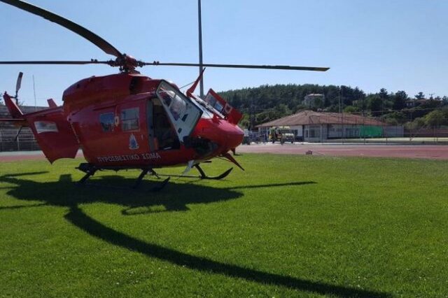 Φθιώτιδα: Μεγάλη χασισοφυτεία εντοπίστηκε στην Τραγάνα