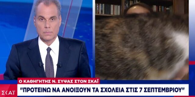 Σύψας: Η γάτα του εισέβαλε στο πλάνο ενώ ήταν “στον αέρα”