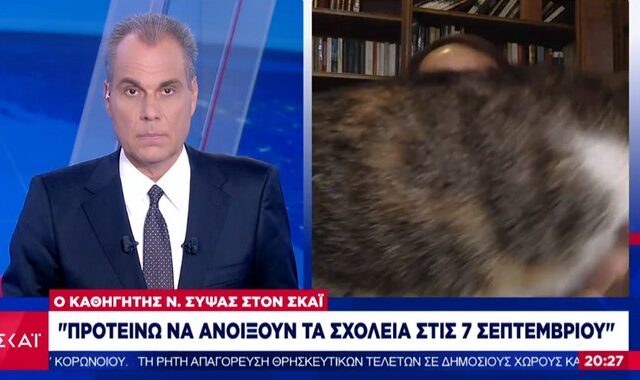 Σύψας: Η γάτα του εισέβαλε στο πλάνο ενώ ήταν “στον αέρα”