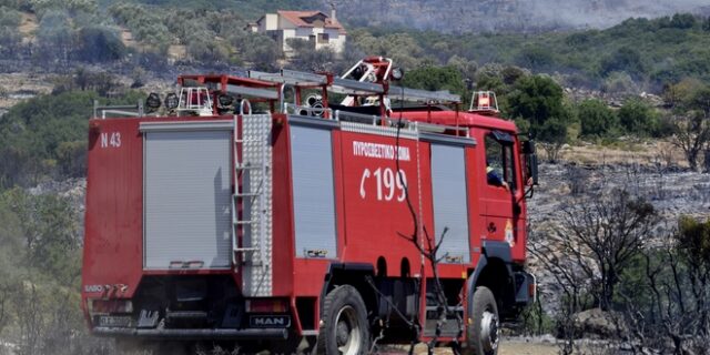 Συναγερμός στην Αταλάντη – Φωτιά 200 μέτρα από σπίτια