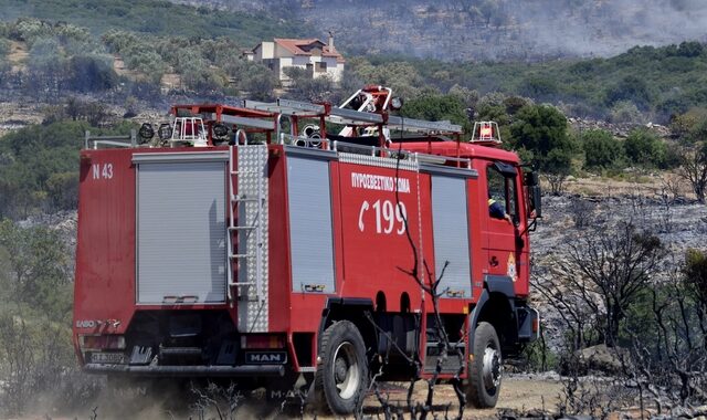 Συναγερμός στην Αταλάντη – Φωτιά 200 μέτρα από σπίτια