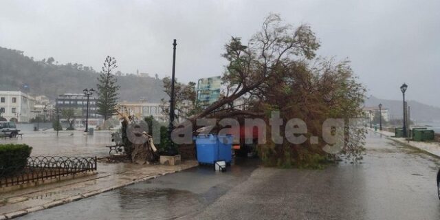 Περίπου 100 κλήσεις για κοπές δέντρων και αφαιρέσεις αντικειμένων λόγω “Ιανού”