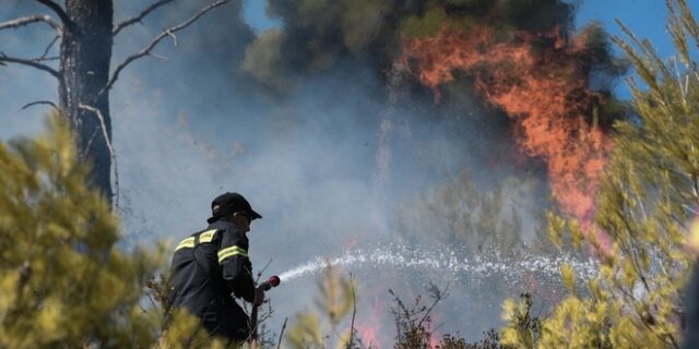 Φωτιά σε δασική έκταση στο Χιλιομόδι Κορινθίας