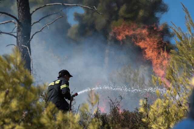 Φωτιά σε εξέλιξη στη Λαυρεωτική