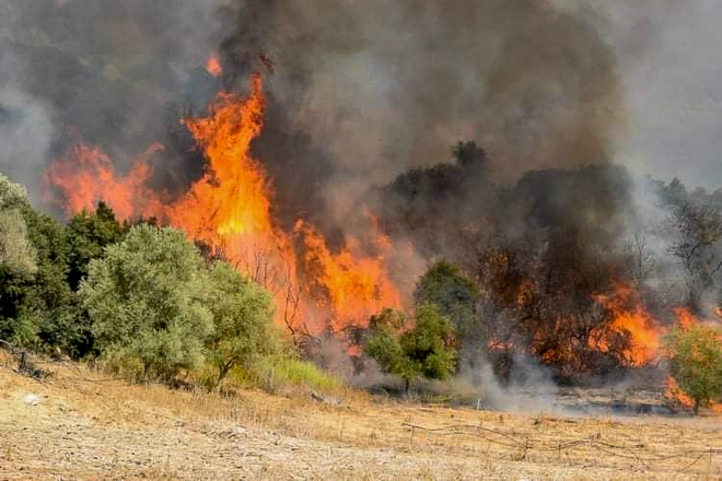 Σε ύφεση οι φωτιές σε Πάτρα και Αλεξανδρούπολη – Νέα φωτιά στο Οίτυλο Λακωνίας