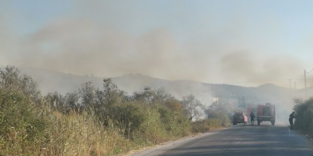 Κρέστενα: Σε εξέλιξη φωτιά στα Καλυβάκια