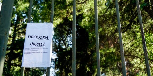 Νέο περιστατικό με φόλες καταγγέλλει ο “Αρκτούρος” – Έξι νεκρά ζώα