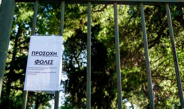 Νέο περιστατικό με φόλες καταγγέλλει ο “Αρκτούρος” – Έξι νεκρά ζώα