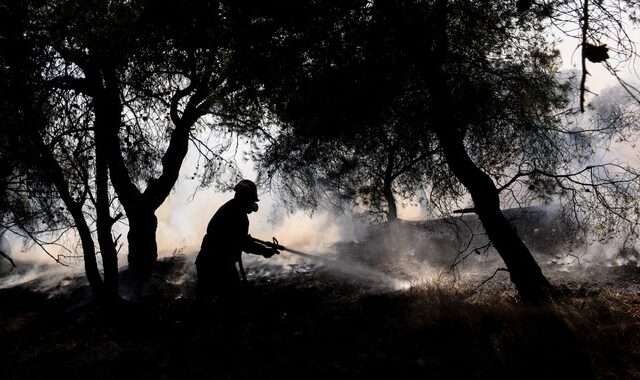 Σε ύφεση η φωτιά στην Ανάβυσσο με μικρές αναζωπυρώσεις – Καλύτερη εικόνα στην Αμαλιάδα