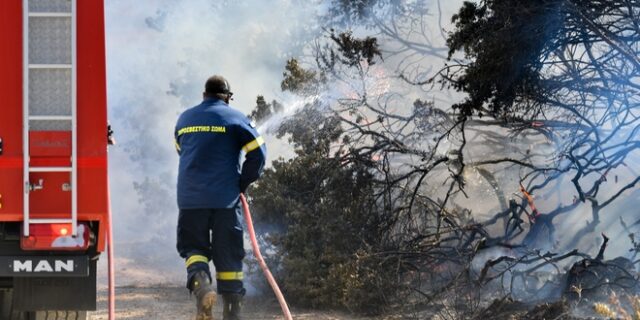 Άμεσα περιορίστηκε φωτιά που ξέσπασε στο Νταού Πεντέλης