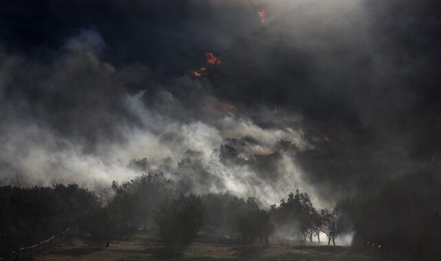 Φωτιά στην Ανάβυσσο: Εκκενώνεται ο οικισμός -100 Απεγκλωβισμοί από την ΕΛ.ΑΣ.