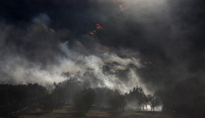 Φωτιά στην Ανάβυσσο: Εκκενώνεται ο οικισμός -100 Απεγκλωβισμοί από την ΕΛ.ΑΣ.