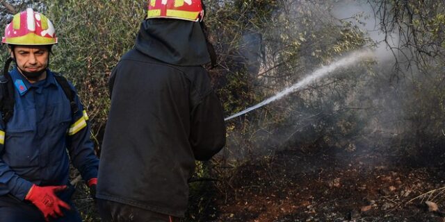 Φωτιές σε Έβρο και Ροδόπη – Καλύτερη εικόνα στο Καρπενήσι
