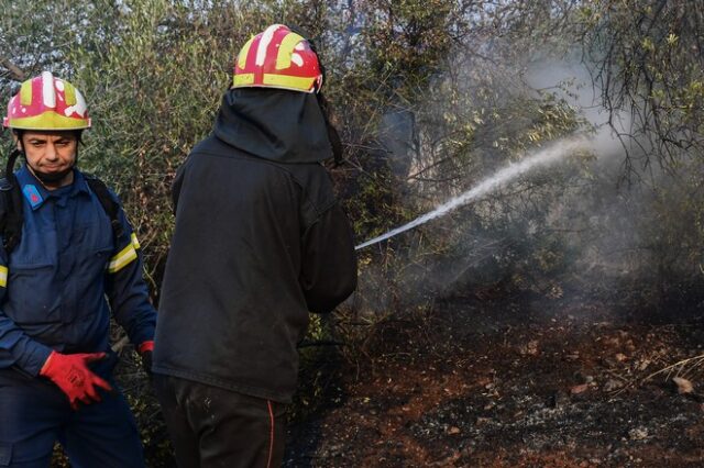 Φωτιές σε Έβρο και Ροδόπη – Καλύτερη εικόνα στο Καρπενήσι