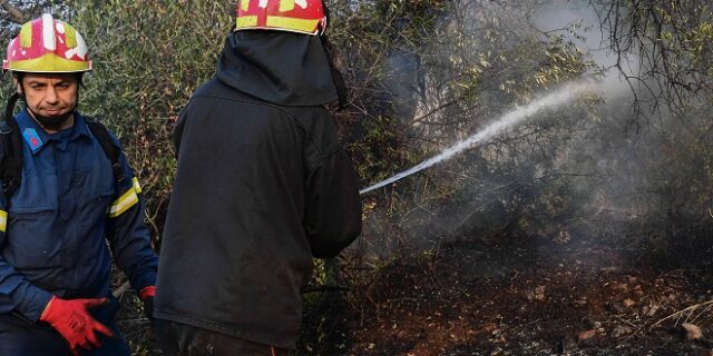 Νέα φωτιά στη Δυτική Μάνη – Καλύτερη εικόνα στο Σοφικό