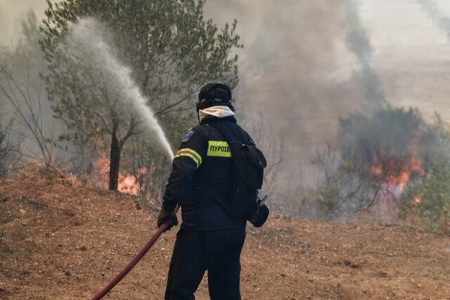 Λάρισα: Φωτιά στα Φάρσαλα