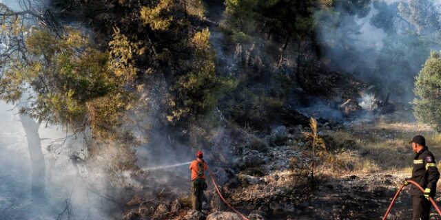 Υπό μερικό έλεγχο η φωτιά στην παραλία Διστόμου – Καλύτερη εικόνα στην Αλεξανδρούπολη