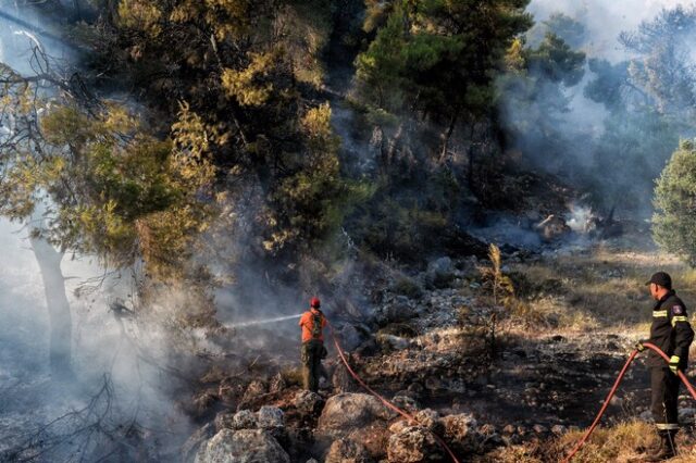 Υπό μερικό έλεγχο η φωτιά στην παραλία Διστόμου – Καλύτερη εικόνα στην Αλεξανδρούπολη