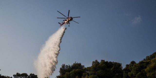 Εύβοια: Σε ύφεση η φωτιά – Σε επιφυλακή λόγω των ισχυρών ανέμων