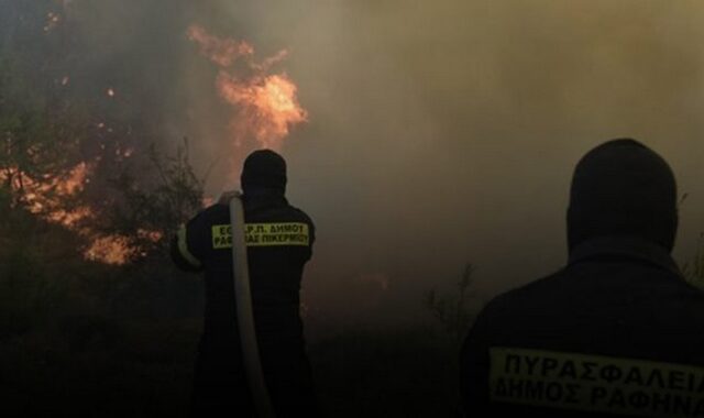 Τρεις φωτιές σε εξέλιξη στην Κρήτη- Επί ποδός η Πυροσβεστική