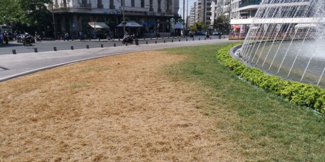 “Καραφατμέ”: Η κάμπια που έφαγε το γκαζόν στην Ομόνοια