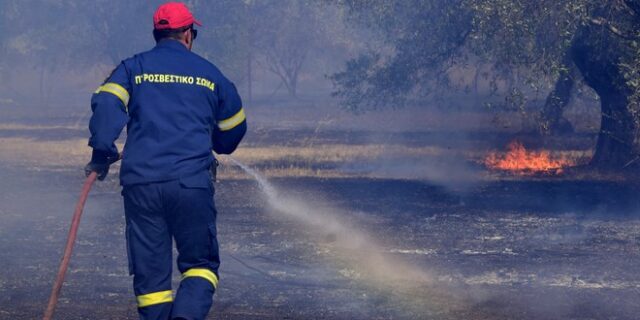 Σε εξέλιξη φωτιές σε Λακωνία και Ηλεία