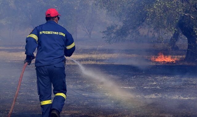 Μαίνεται η φωτιά στην Αλεξανδρούπολη – Σε ύφεση στα υπόλοιπα μέτωπα