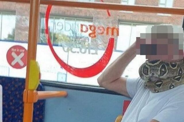 Βρετανία: Αντί για μάσκα “φόρεσε” ζωντανό φίδι και μπήκε στο λεωφορείο