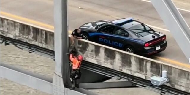 Έσωσε σκυλάκι με “αναρρίχηση” στα 36 μέτρα πάνω από τον Μισισιπή