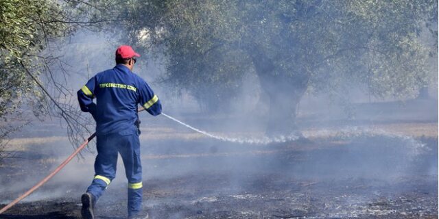 Φωτιά στην Δυτική Αχαΐα