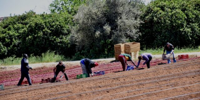 Κορονοϊός: Στη Λακωνία Τσιόδρας και Παπαγεωργίου μετά τα 32 κρούσματα