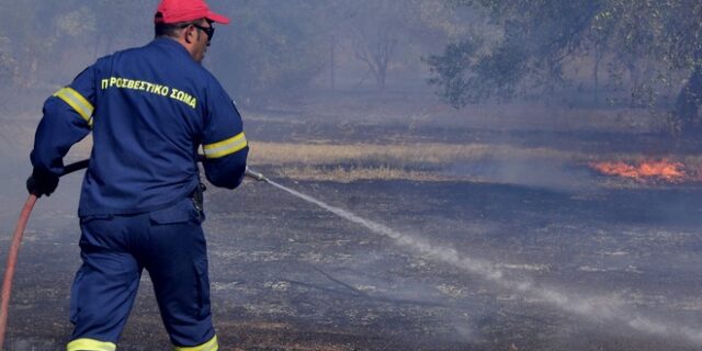 Χαλκιδική: Νεκρός εντοπίστηκε ηλικιωμένος κατά την κατάσβεση φωτιάς