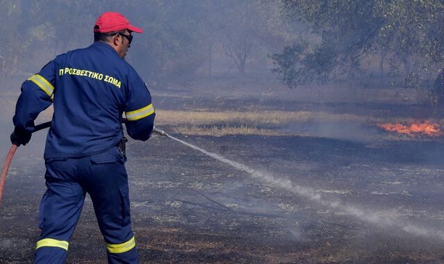 Χαλκιδική: Νεκρός εντοπίστηκε ηλικιωμένος κατά την κατάσβεση φωτιάς