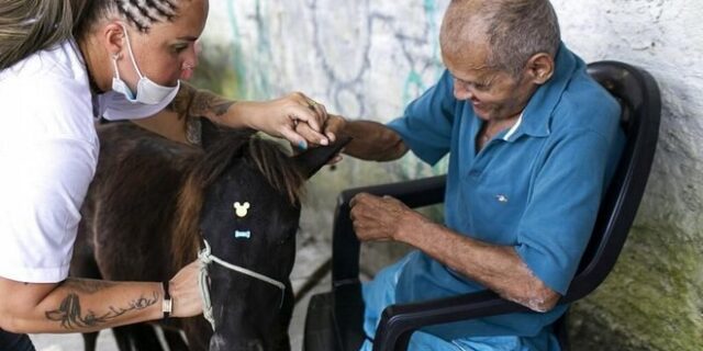 Βραζιλία: Εγκαταλελειμμένα ζώα κάνουν παρέα σε ηλικιωμένους στα γηροκομεία
