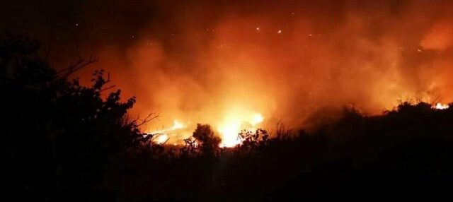 Καλαμάτα: Φωτιά σε δασική έκταση στην περιοχή Χρυσοκελλαριά