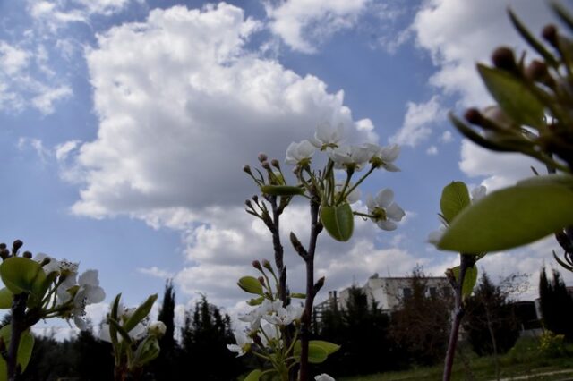 Άνοδος θερμοκρασίας, νοτιάδες και συννεφιά την Δευτέρα