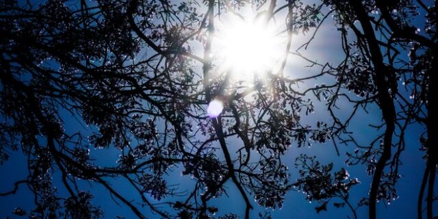 Aραιή συννεφιά και άνοδος θερμοκρασίας το Σάββατο
