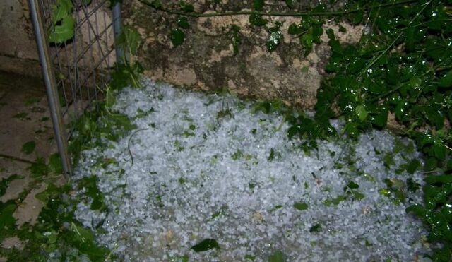 Στο έλεος της κακοκαιρίας η Κρήτη: Χαλάζι, πλημμύρες και κομμένα δέντρα