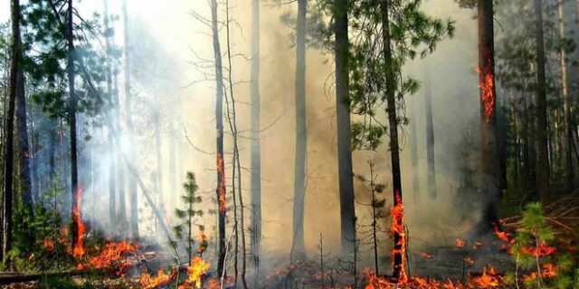 Δασικές φωτιές στην Ουκρανία: Στους 8 οι νεκροί