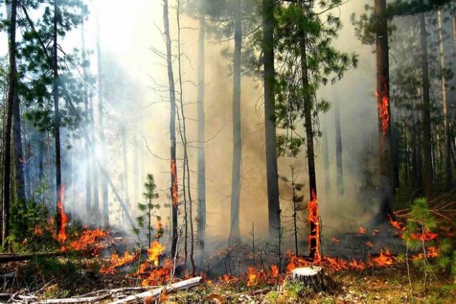 Δασικές φωτιές στην Ουκρανία: Στους 8 οι νεκροί