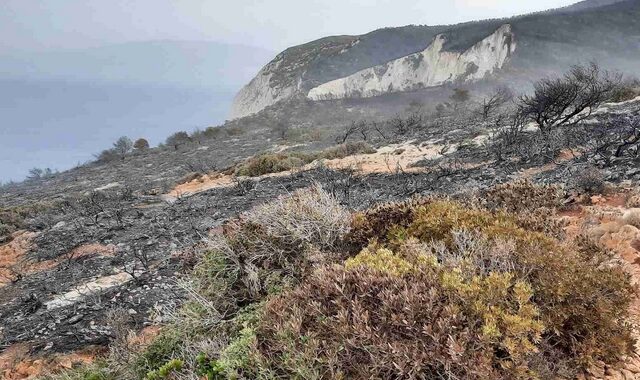 Ζάκυνθος: Κάηκε η βλάστηση πάνω από την παραλία του “Ναυαγίου”