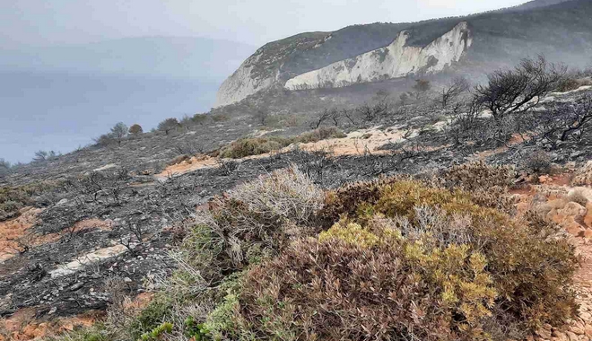 Ζάκυνθος: Κάηκε η βλάστηση πάνω από την παραλία του “Ναυαγίου”