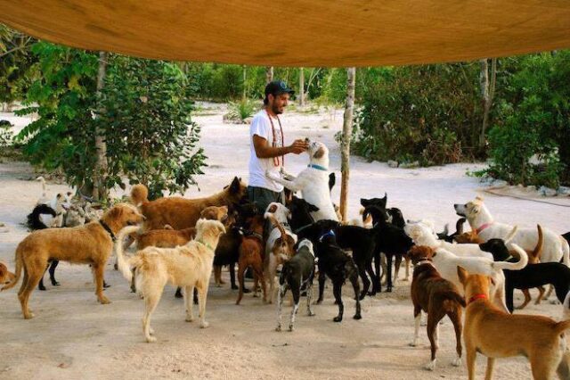Άνοιξε το σπίτι του σε 300 σκυλιά για να τα σώσει από τυφώνα