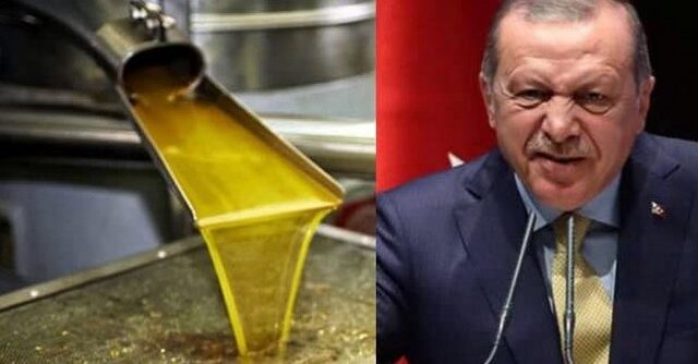 Κλοπή: Οι Τούρκοι αρπάζουν την παραγωγή ελαιόλαδου του Αφρίν και την εξάγουν ως τουρκικό προϊόν