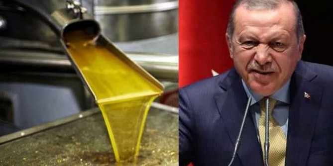 Κλοπή: Οι Τούρκοι αρπάζουν την παραγωγή ελαιόλαδου του Αφρίν και την εξάγουν ως τουρκικό προϊόν