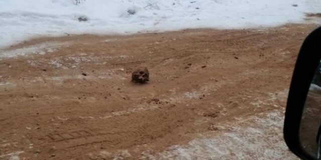 Μακάβριο: “Δρόμος από οστά” ανακαλύφθηκε στη Σιβηρία