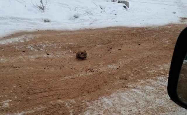 Μακάβριο: “Δρόμος από οστά” ανακαλύφθηκε στη Σιβηρία