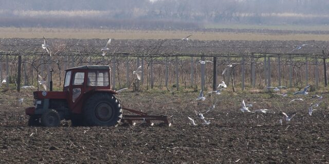 Γιάννης Τσιφόρος: Θετική, αλλά με ελλείψεις η Έκθεση Πισσαρίδη για τον αγροδιατροφικό τομέα