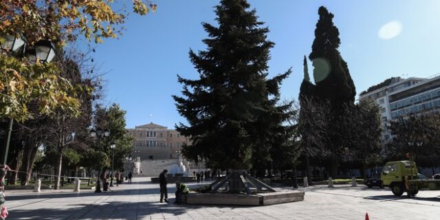 Στήθηκε το χριστουγεννιάτικο δέντρο στην πλατεία Συντάγματος