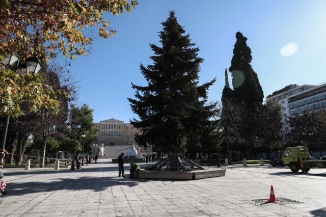 Στήθηκε το χριστουγεννιάτικο δέντρο στην πλατεία Συντάγματος